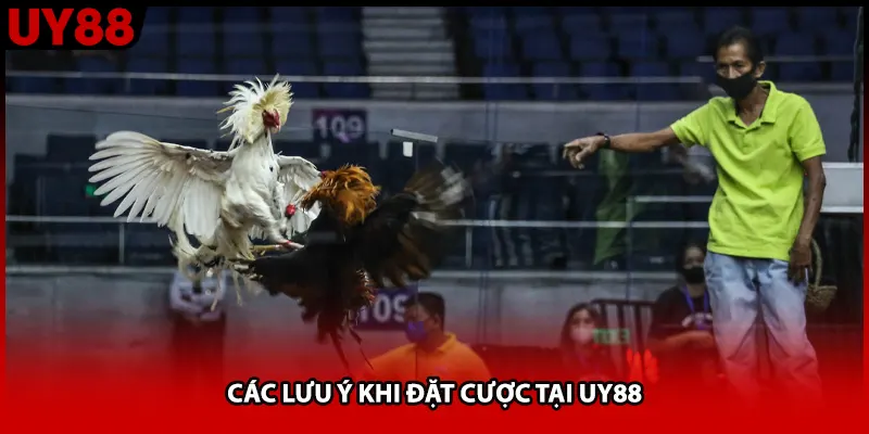 Các lưu ý khi đặt cược tại UY88